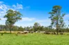 7605 Summerland Way, Rappville NSW 2469-Image