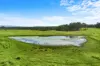 7605 Summerland Way, Rappville NSW 2469-Image