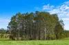 7605 Summerland Way, Rappville NSW 2469-Image
