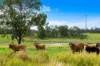 7605 Summerland Way, Rappville NSW 2469-Image