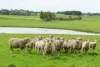 762 Moyne Falls Road, Hawkesdale, Vic 3287-Image