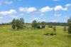 771, Ewingar NSW 2469-Image