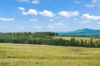 771, Ewingar NSW 2469-Image