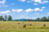 771, Ewingar NSW 2469-Image
