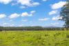 771, Ewingar NSW 2469-Image