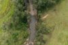 771, Ewingar NSW 2469-Image