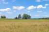 771, Ewingar NSW 2469-Image
