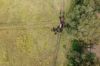 771, Ewingar NSW 2469-Image