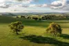 7740 Hume Highway, Kyeamba, NSW 2650-Image