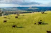 7740 Hume Highway, Kyeamba, NSW 2650-Image