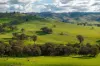 7740 Hume Highway, Kyeamba, NSW 2650-Image
