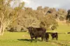 7740 Hume Highway, Kyeamba, NSW 2650-Image
