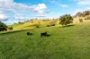 7740 Hume Highway, Kyeamba, NSW 2650-Image