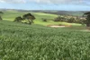 778 Pillaworta Road, Koppio, SA 5607
