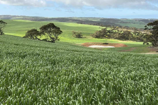 778 Pillaworta Road, Koppio, SA 5607