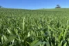 778 Pillaworta Road, Koppio, SA 5607-Image