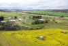 778 Pillaworta Road, Koppio, SA 5607-Image