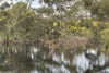778 Pillaworta Road, Koppio, SA 5607-Image
