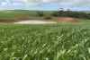 778 Pillaworta Road, Koppio, SA 5607-Image