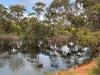 778 Pillaworta Road, Koppio, SA 5607-Image