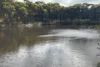 778 Pillaworta Road, Koppio, SA 5607-Image