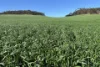 778 Pillaworta Road, Koppio, SA 5607-Image