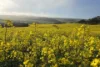 778 Pillaworta Road, Koppio, SA 5607-Image