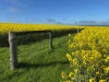 778 Pillaworta Road, Koppio, SA 5607-Image