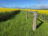 778 Pillaworta Road, Koppio, SA 5607-Image