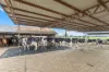 78 Teese Road, Gleneagle, Qld 4285-Image