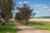 783 Calarie Road, Forbes, NSW 2871-Image