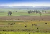 783 Calarie Road, Forbes, NSW 2871-Image