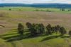 783 Calarie Road, Forbes, NSW 2871-Image