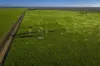 7856 Carinda Road, Gungalman, NSW 2829-Image