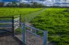 7856 Carinda Road, Gungalman, NSW 2829-Image
