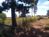 79, 89 Mollenhagans Road, Rosedale, Qld 4674-Image