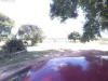 79, 89 Mollenhagans Road, Rosedale, Qld 4674-Image