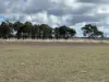 79 Nine Mile Road, Dundee, NSW 2370-Image