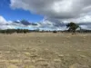 79 Nine Mile Road, Dundee, NSW 2370-Image