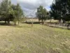 79 Nine Mile Road, Dundee, NSW 2370-Image
