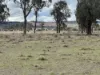79 Nine Mile Road, Dundee, NSW 2370-Image