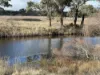 79 Nine Mile Road, Dundee, NSW 2370-Image
