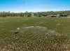 7963 Mitchell Highway, Bakers Swamp, NSW 2820-Image