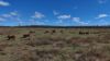 8 Screening Plant Road, Cynthia, Eidsvold QLD 4627-Image