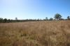 8 Screening Plant Road, Cynthia, Eidsvold QLD 4627-Image