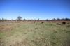 8 Screening Plant Road, Cynthia, Eidsvold QLD 4627-Image
