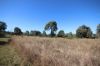 8 Screening Plant Road, Cynthia, Eidsvold QLD 4627-Image