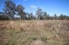 8 Screening Plant Road, Cynthia, Eidsvold QLD 4627-Image