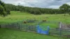 80 Tooloom Street, Legume NSW 2476-Image