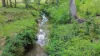 80 Tooloom Street, Legume NSW 2476-Image